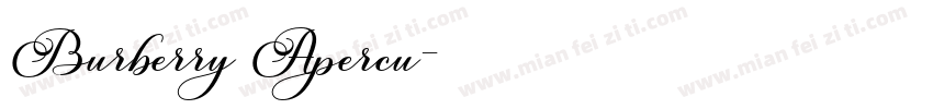 Burberry Apercu字体转换